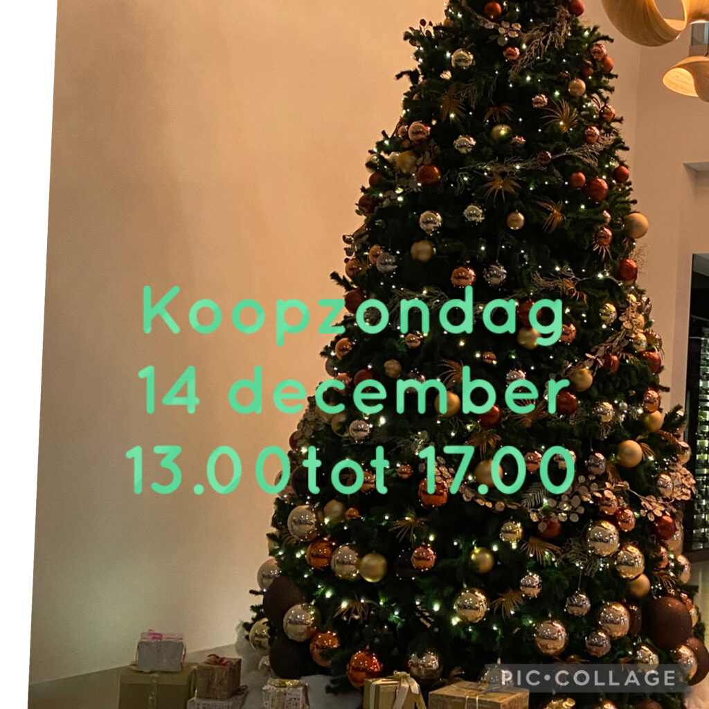 De huidige afbeelding heeft geen alternatieve tekst. De bestandsnaam is: IMG_4146.jpg